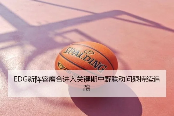 EDG新阵容磨合进入关键期中野联动问题持续追踪