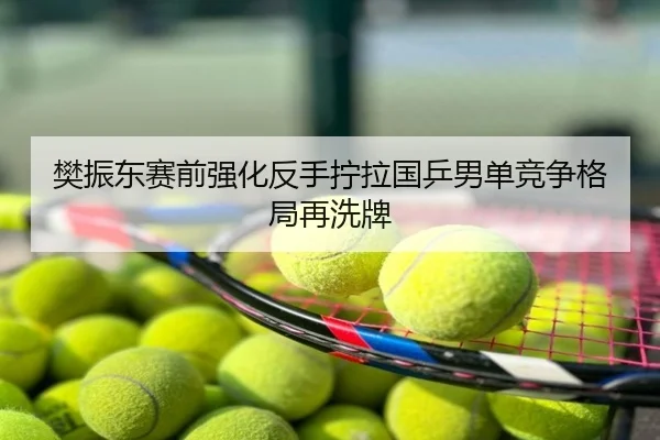 樊振东赛前强化反手拧拉国乒男单竞争格局再洗牌